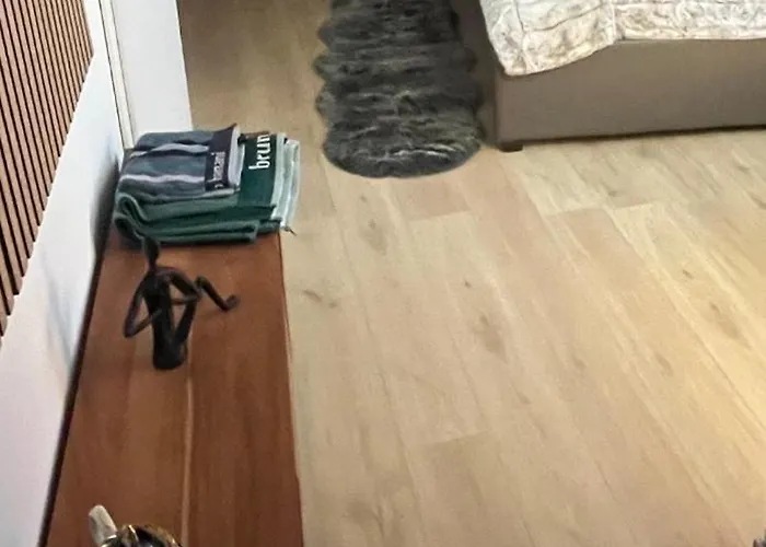 Apartament Ancient